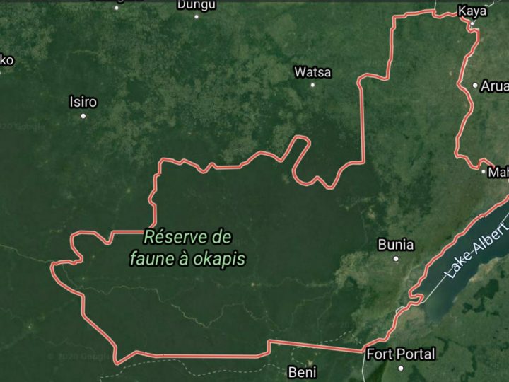 Ituri : une vingtaine de civiles tués par la FPIC à Bukela