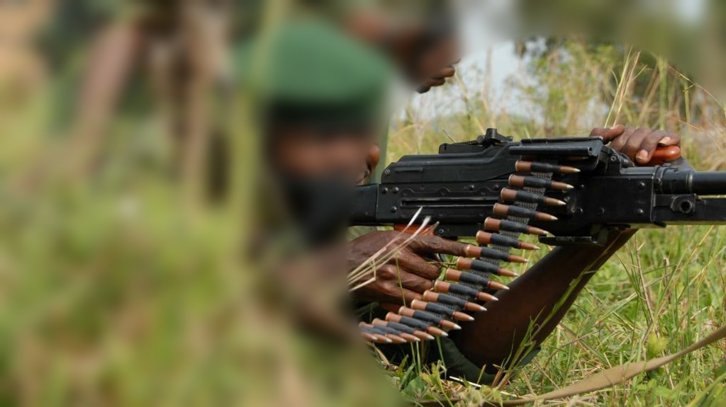RDC: Des hommes lourdement armés quittent le Nord-Kivu et prennent la direction de l’Ituri