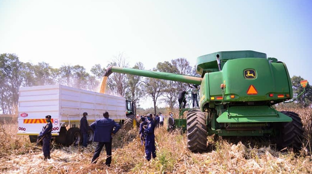 Haut-katanga : 64 000 tonnes de maïs produits par les fermiers