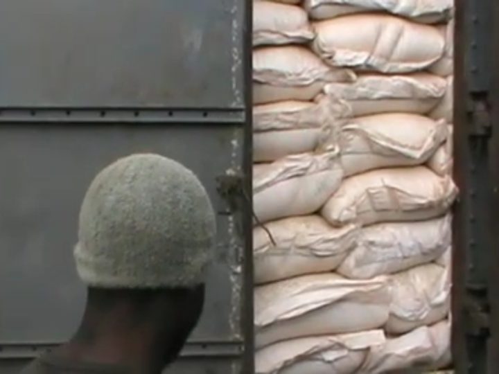 Kasaï-Central-Agriculture: 1.200 tonnes de maïs, le service national ravitaille la province !