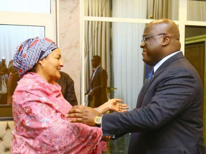 PRECOP 27 : Le Président Félix Tshisekedi échange avec une délégation de l’ONU