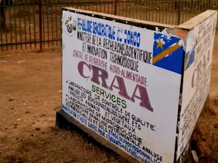 Haut-Katanga : La ministre de l&rsquo;ESU suspend le comité de gestion du CRAA de Lubumbashi pour aliénation de patrimoine