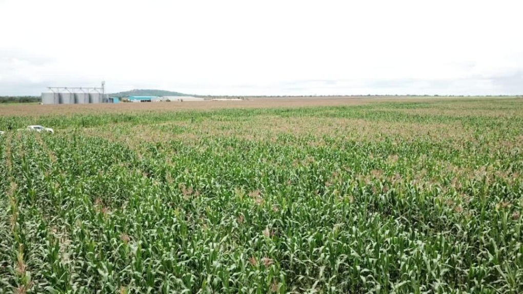 Haut-Katanga : Un budget ambitieux, mais l’agriculture toujours en difficulté